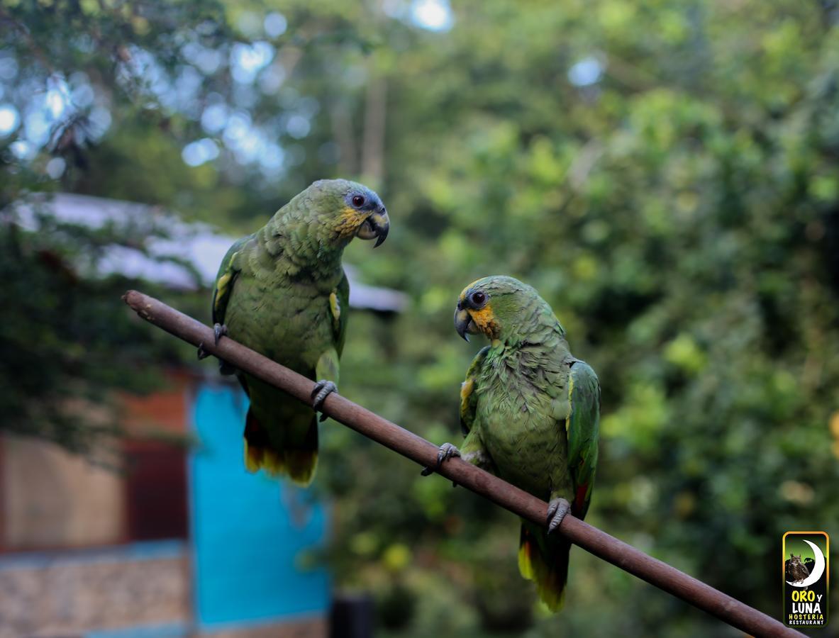 Oro Y Luna Lodge Carlos Julio Arosemena Tola Экстерьер фото